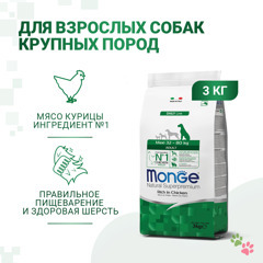Сухой корм Monge Dog Daily Line Maxi для взрослых собак крупных пород, из курицы